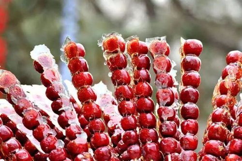 武汉一景区现“樱花冰糖葫芦” 武汉一景区现“樱花冰糖葫芦”