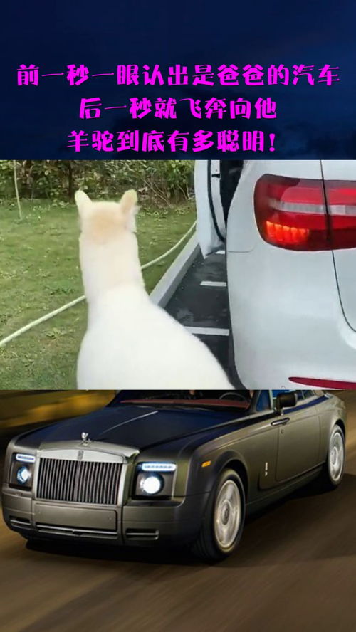 汽车一秒多少米 汽车一秒多少米