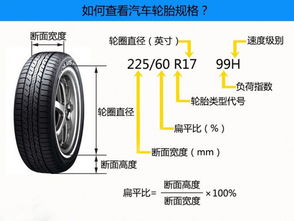 汽车最大胎宽是多少 汽车最大胎宽是多少