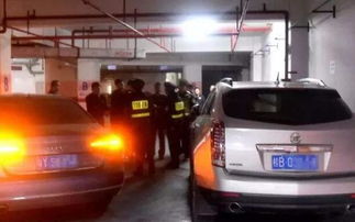 汽车不出险有优惠多少