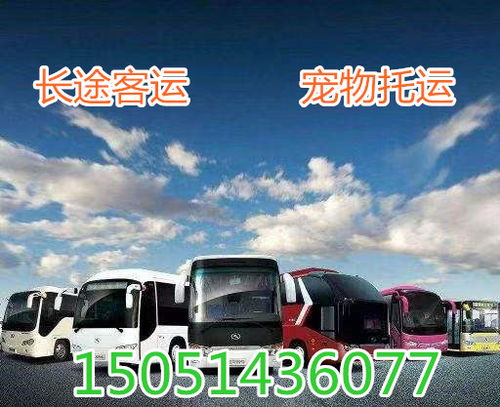 南阳到桐柏汽车多少钱 南阳到桐柏汽车多少钱