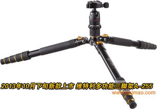 汽车机脚架全套多少钱 汽车机脚架全套多少钱