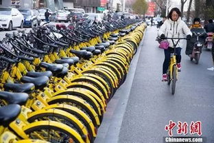 共享单车和汽车押金多少