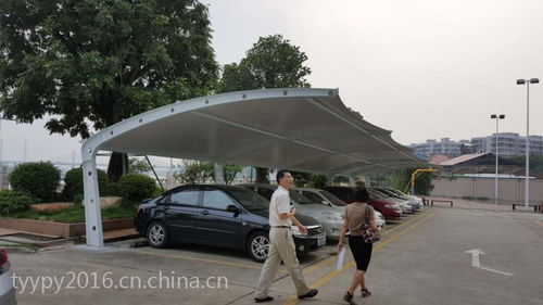 信阳汽车停车雨棚多少钱