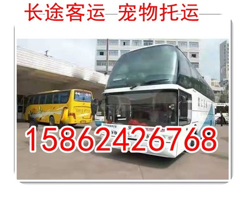 汉中到略阳汽车需要多少 汉中到略阳汽车需要多少