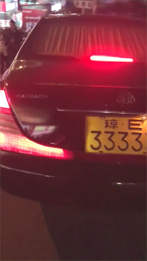 唢呐汽车多少钱