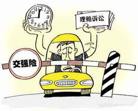 汽车强险交多少
