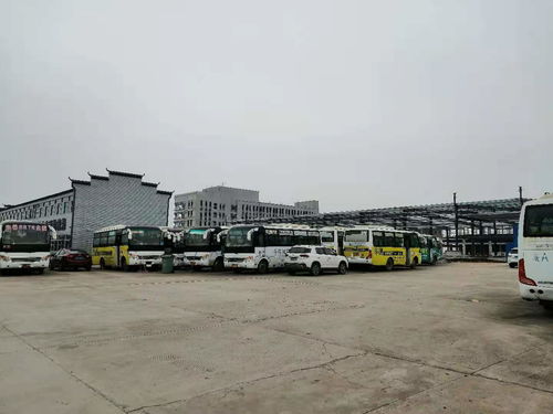 永兴汽车报废电话多少 永兴汽车报废电话多少