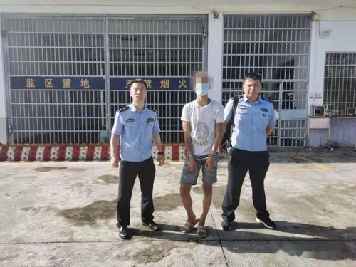 嘉兴汽车小球头多少钱