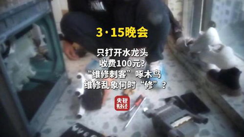 维修刺客啄木鸟 开个水龙头收100