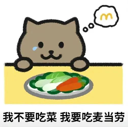 胖猫事件90多吨外卖食物被浪费 胖猫事件90多吨外卖食物被浪费