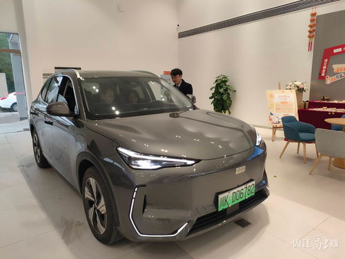 吉瑞汽车多少钱 吉瑞汽车多少钱