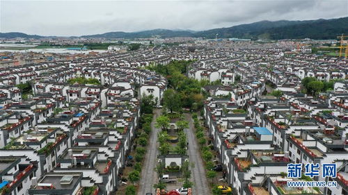 全员人均多少个汽车