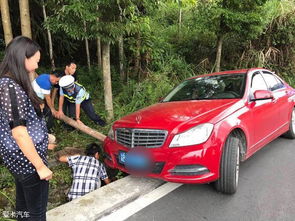 Jep红色汽车多少钱 Jep红色汽车多少钱