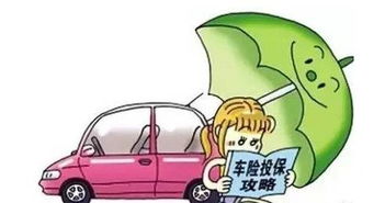 汽车可以上多少保险牌 汽车可以上多少保险牌