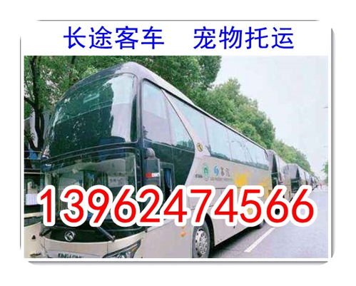 泰安到济宁汽车多少钱 泰安到济宁汽车多少钱