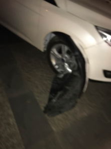 汽车遮雨板多少钱 汽车遮雨板多少钱