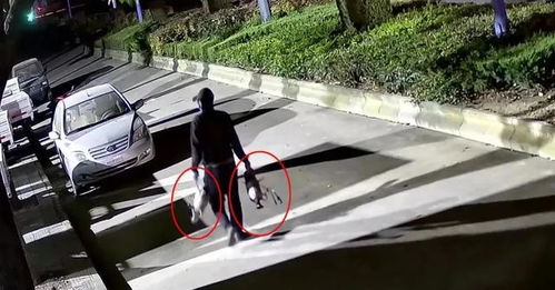 汽车销赃判多少年 汽车销赃判多少年