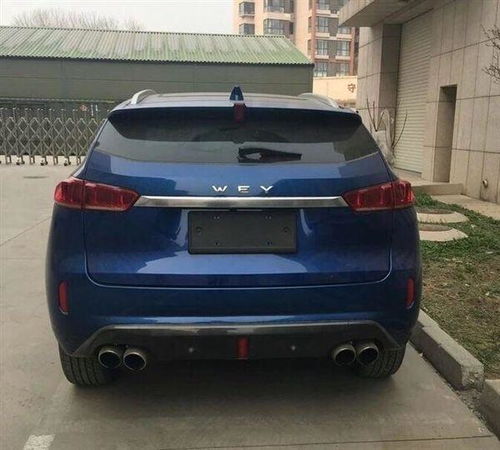 w01汽车多少钱 w01汽车多少钱