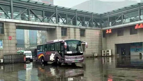 周口汽车站小姐多少钱