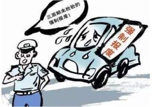 汽车多少年后没年审