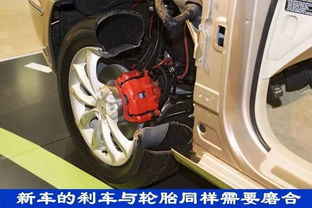 汽车首保大概多少钱