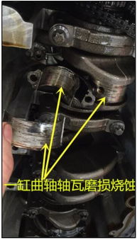 汽车机油格有多少种