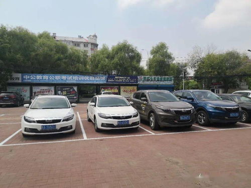 广州共享汽车信用分多少