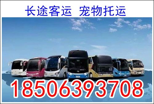 合肥到汽车多少钱 合肥到汽车多少钱