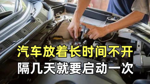 汽车放多少时间不脏 汽车放多少时间不脏