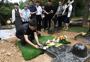 多方回应村民的公墓被砸骨灰被抛洒 多方回应村民的公墓被砸骨灰被抛洒