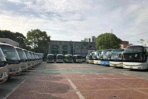 冀州到隆尧多少钱汽车 冀州到隆尧多少钱汽车