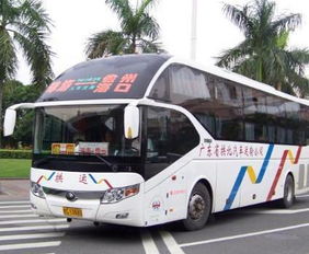 乐清到邢台汽车多少钱 乐清到邢台汽车多少钱