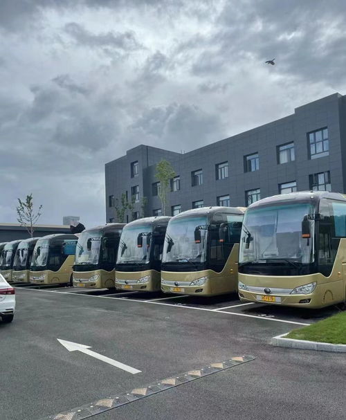 肃宁到深州汽车多少钱
