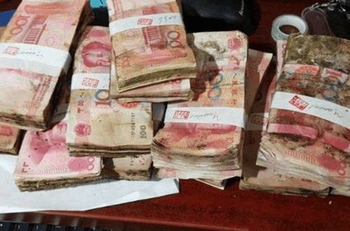 600万被弃路边?男子:钱多发霉拿来晒