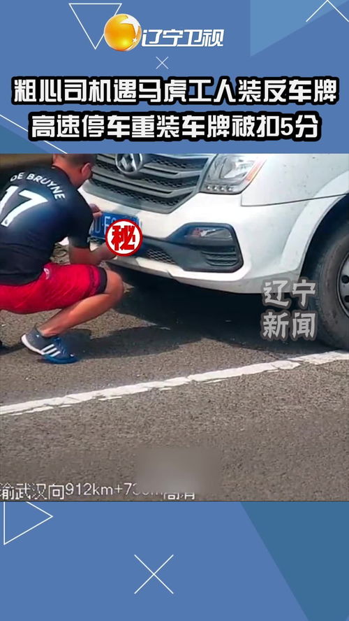 汽车装牌照多少钱啊