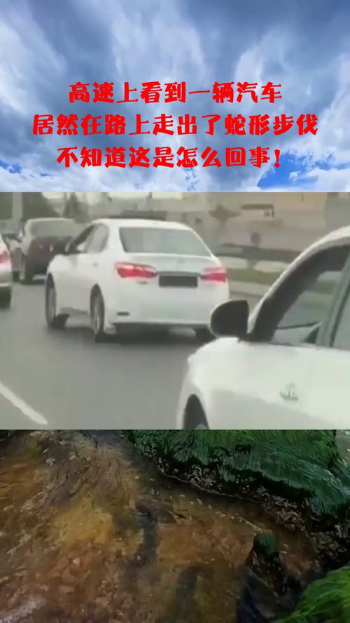 汽车最快速度多少步 汽车最快速度多少步