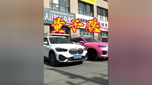 汽车思维子得多少钱