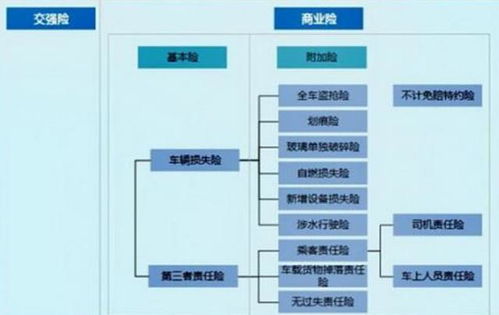 汽车保险第二年比第一年便宜多少 汽车保险第二年比第一年便宜多少