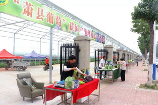 萧县汽车总站电话多少 萧县汽车总站电话多少