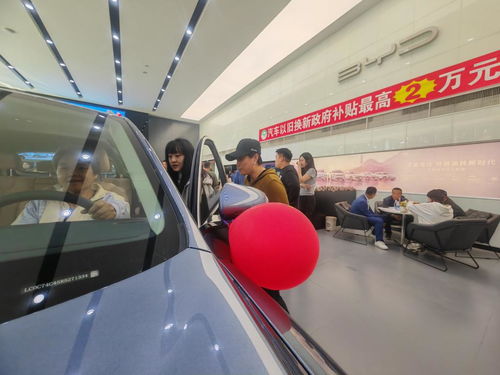 绥中汽车电器多少 绥中汽车电器多少