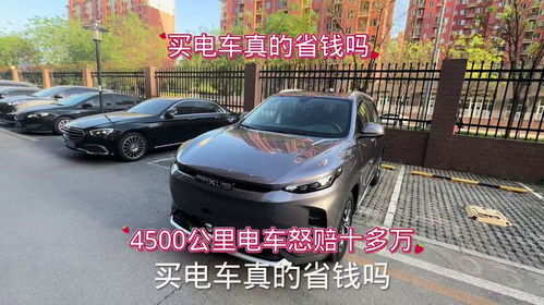 共享汽车电车多少钱