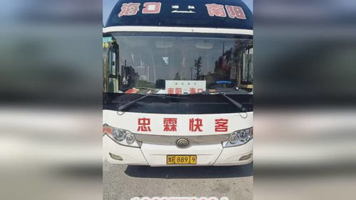 湛江到海口汽车多少钱 湛江到海口汽车多少钱