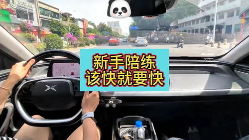 韶关汽车陪练价格多少 韶关汽车陪练价格多少