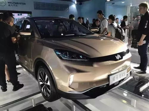 华为共享汽车价格多少
