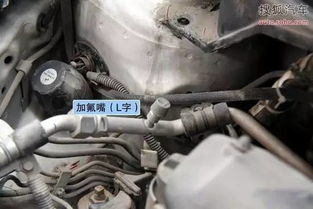 汽车加氟一般多少克 汽车加氟一般多少克