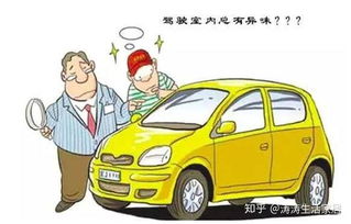 贺州汽车除甲醛报价多少 贺州汽车除甲醛报价多少