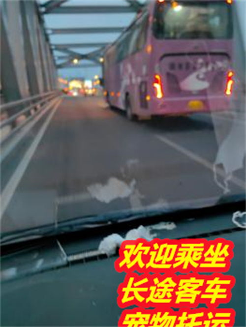 廉江到湛江汽车多少钱 廉江到湛江汽车多少钱
