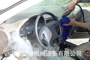 蒸洗汽车多少钱