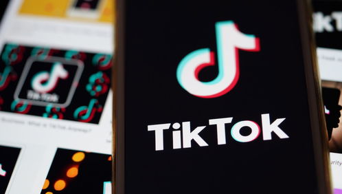 外交部回应涉TikTok问题 外交部回应涉TikTok问题